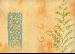 Cane Furniture - Choice of fabrics - larger pictures